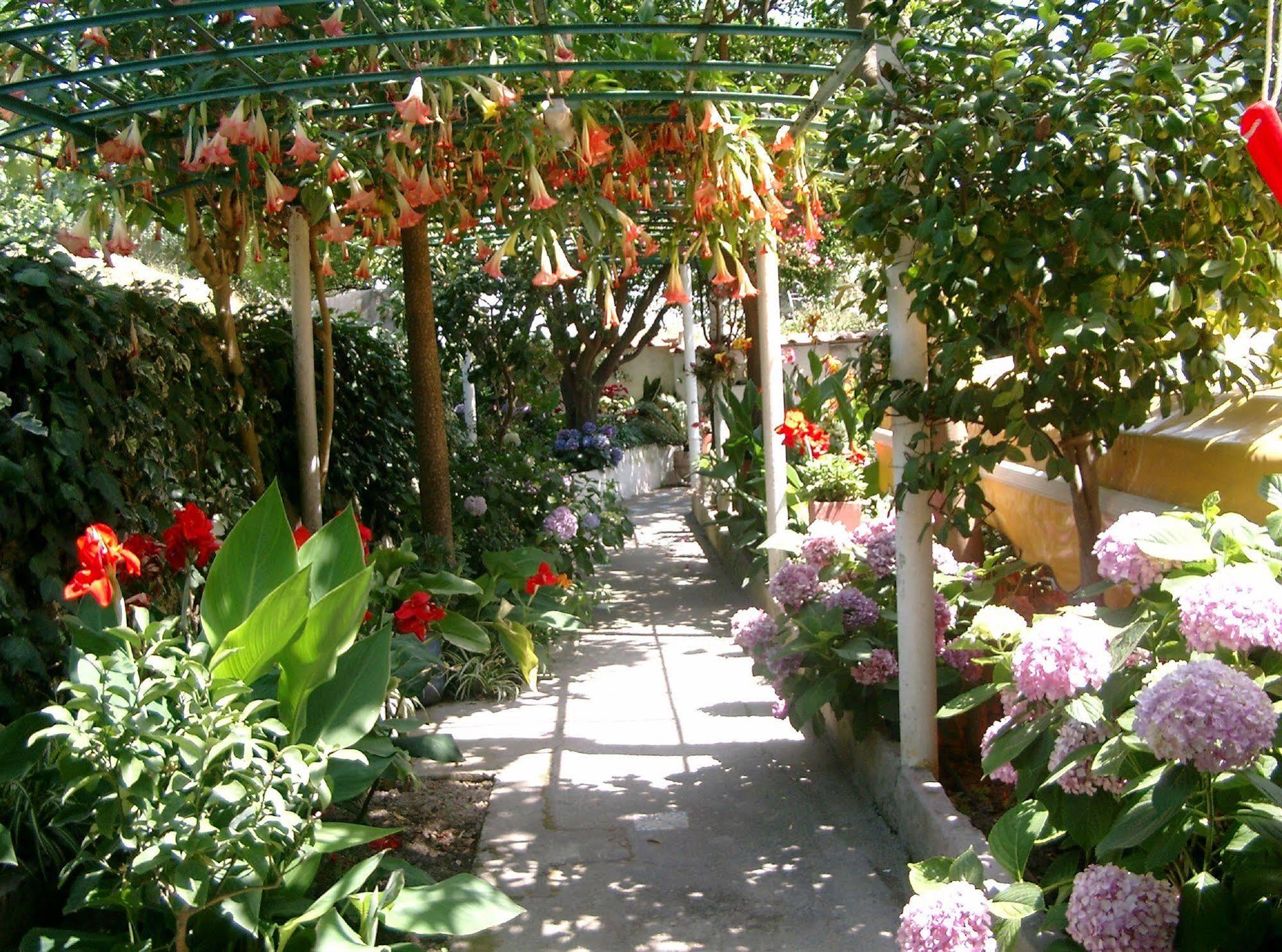 & Matarese Hotel